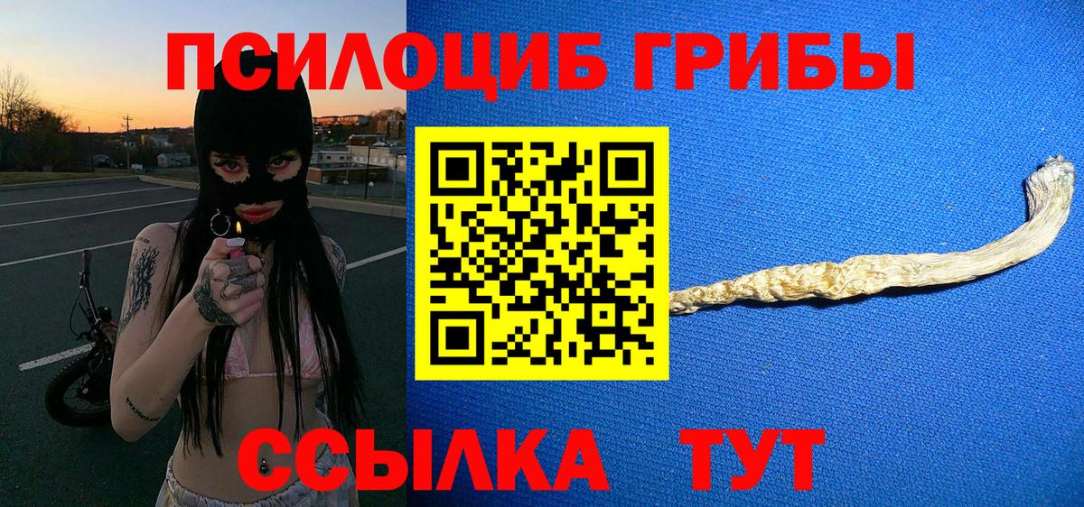 Псилоцибиновые грибы мухоморы Курчалой