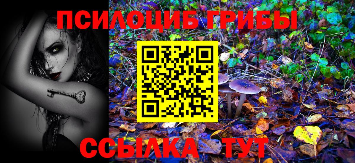 Курчалой  Псилоцибиновые грибы GOLDEN TEACHER  купить наркоту  Вход с VPN 