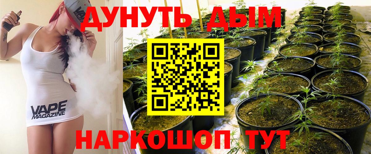 Бошки Шишки тримм Курчалой
